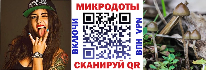 Псилоцибиновые грибы Psilocybine cubensis  Долинск 